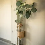 Отель L'echappee Vosgienne - Nature - Recuperation - Sport - 300m Du 3*