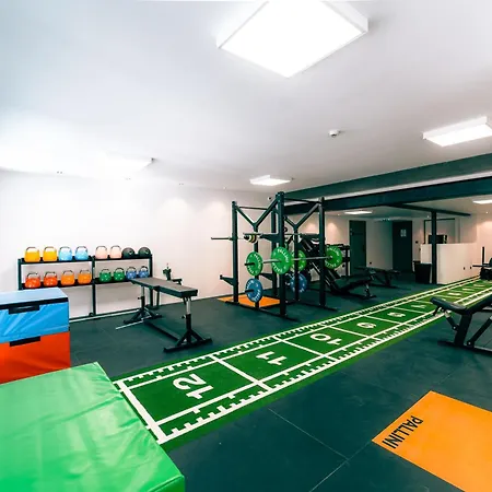 L'echappee Vosgienne - Sport Et Recuperation A 300m Du *