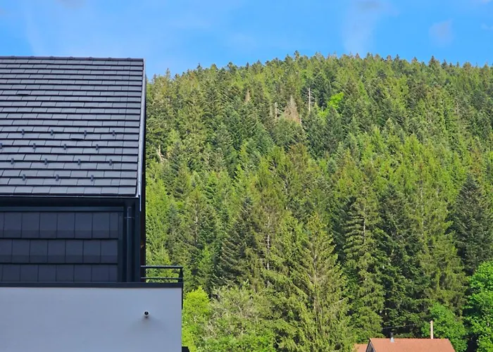 L'echappee Vosgienne - Nature - Recuperation - Sport - 300m Du Gérardmer