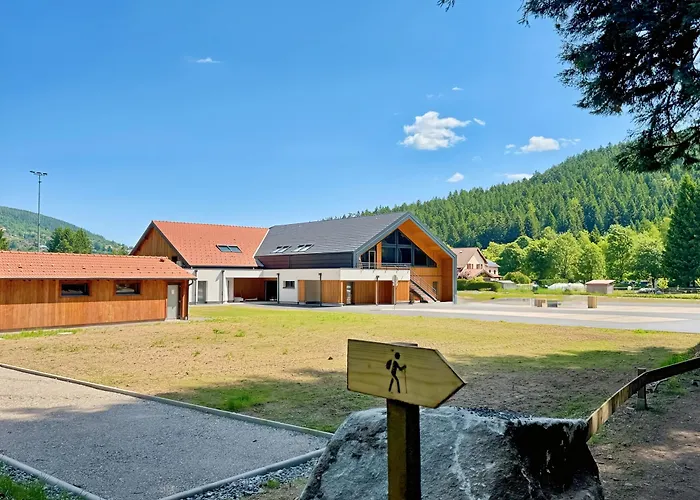 L'echappee Vosgienne - Nature - Recuperation - Sport - 300m Du 3*