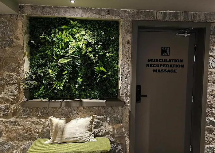 L'echappee Vosgienne - Nature - Recuperation - Sport - 300m Du Gérardmer