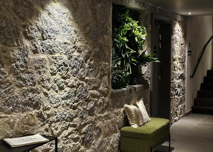 L'echappee Vosgienne - Nature - Recuperation - Sport - 300m Du