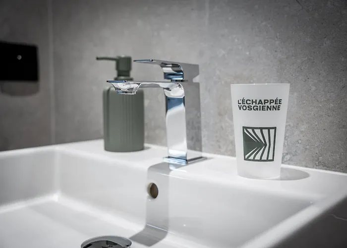 Hotel L'echappee Vosgienne - Nature - Recuperation - Sport - 300m Du 3*